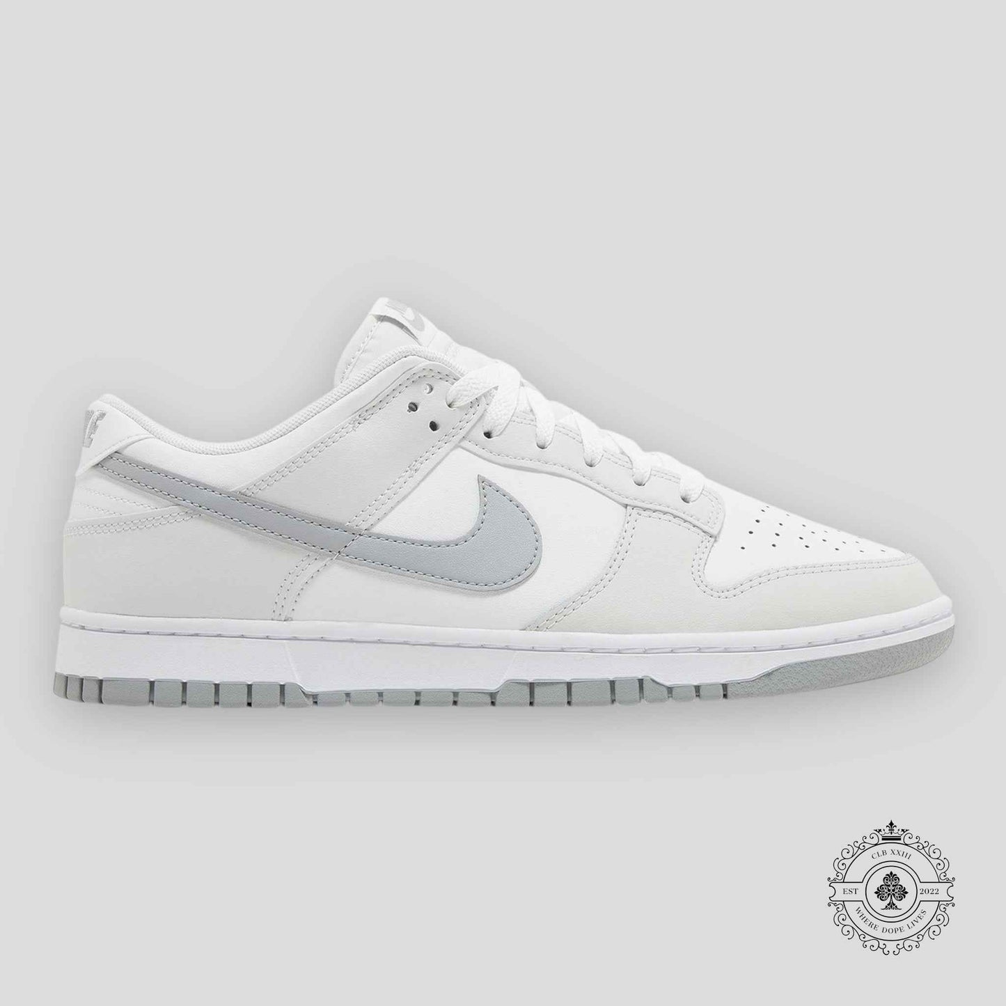 Nike Dunk Low Retro Summit White Light Smoke Grey