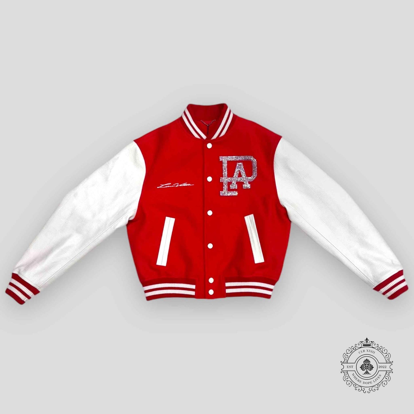 Louis Vuitton Mix Leather Varsity Blouson