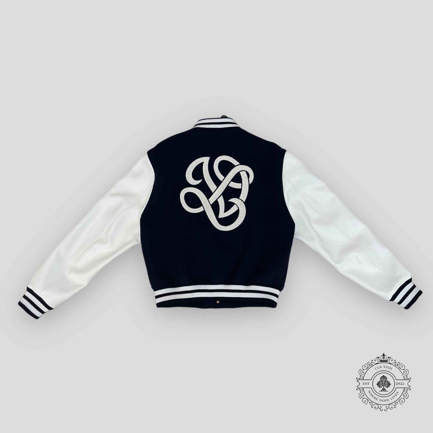 Louis Vuitton Calfskin Varsity Jacket in Navy