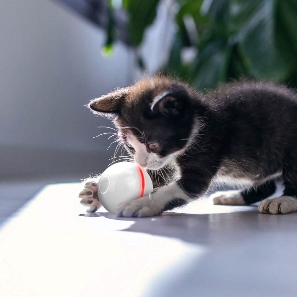 Cat Teaser Ball Automatic Self Rotating Interactive Cat Motion Exercise Toy