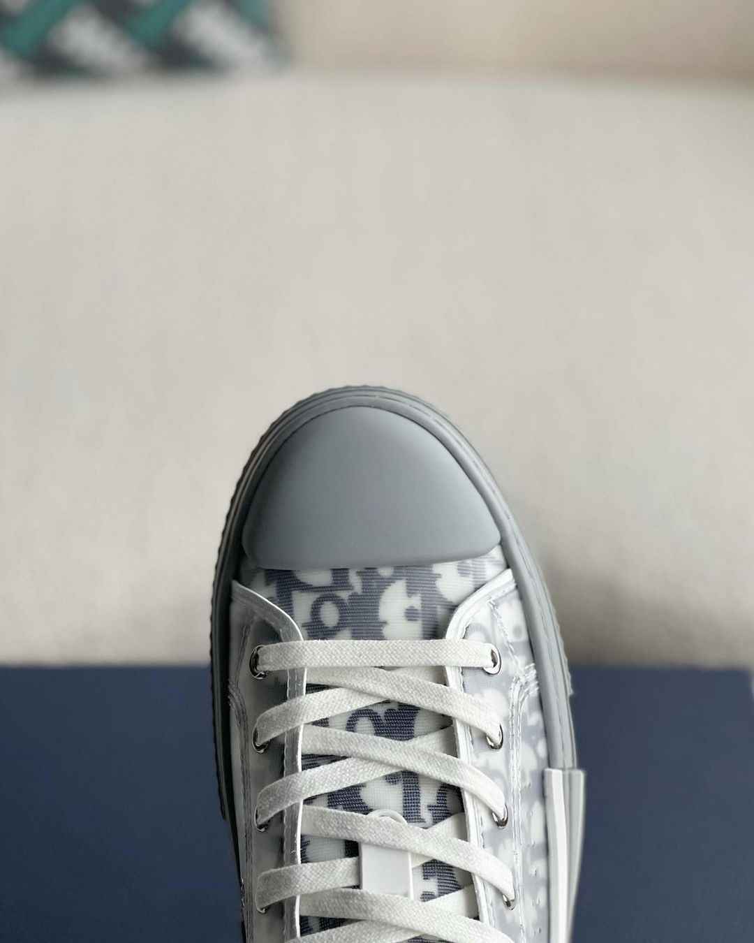 Dior B23 Low-Top Sneaker in White & Gray Dior Oblique Transparent Technical Canvas
