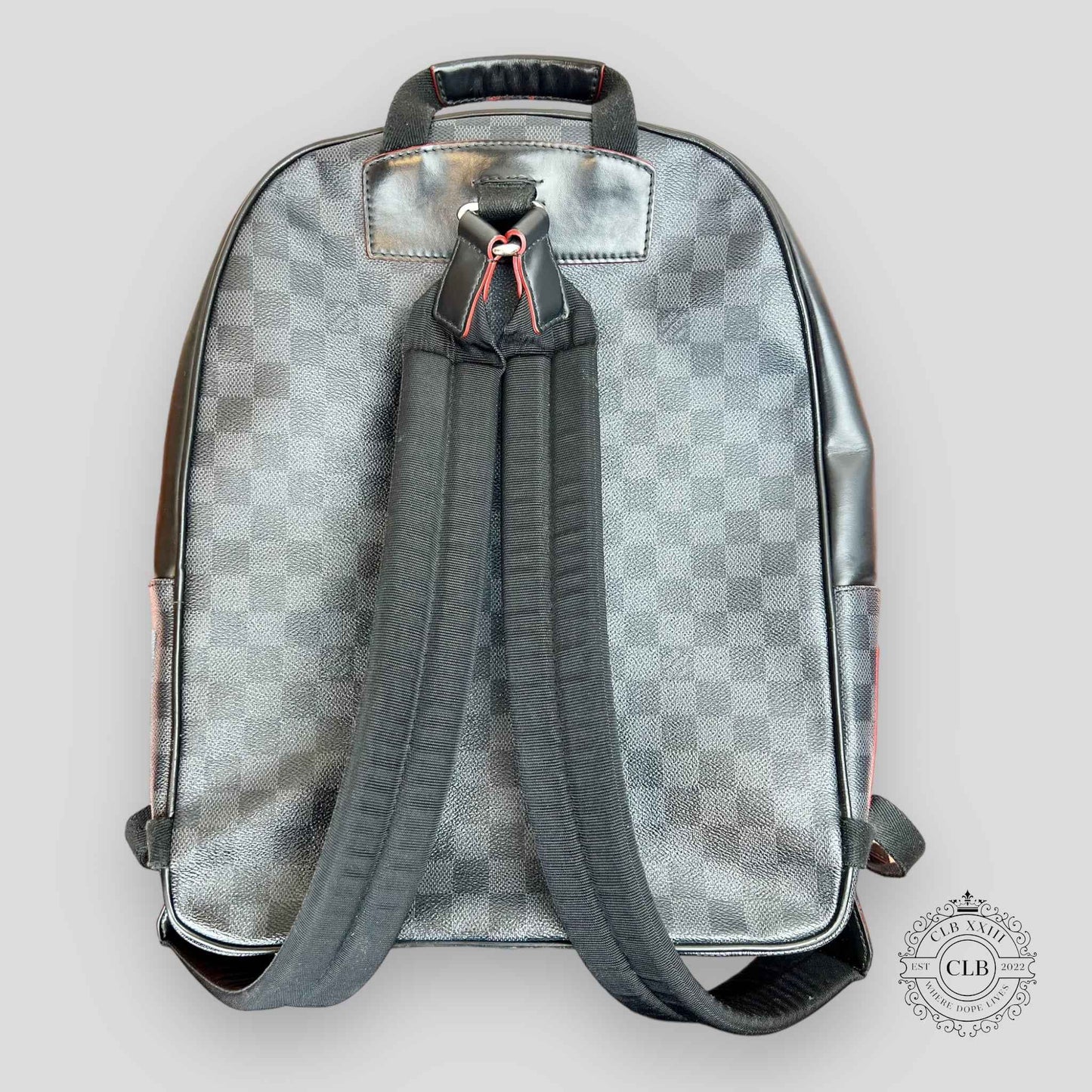 LOUIS VUITTON ALPS BACKPACK