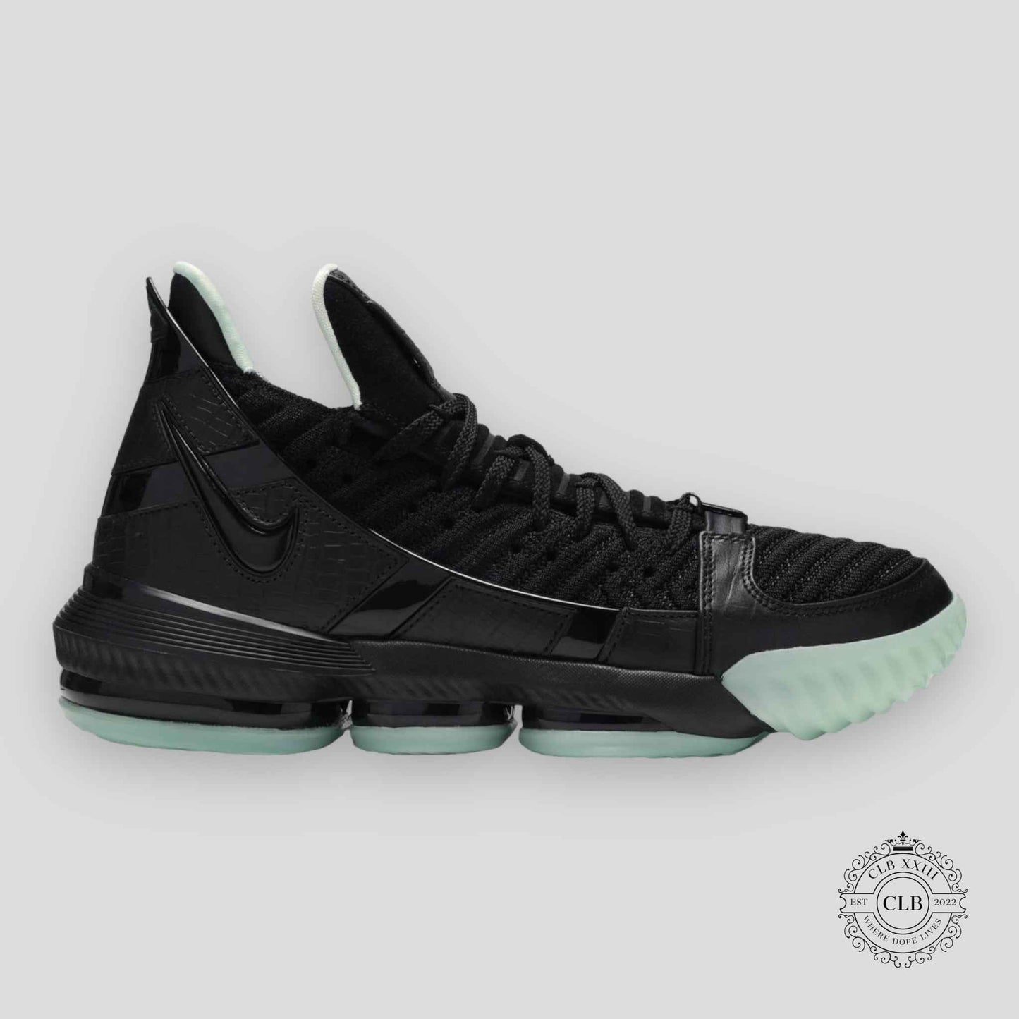 NIKE LEBRON XVI "GLOW"