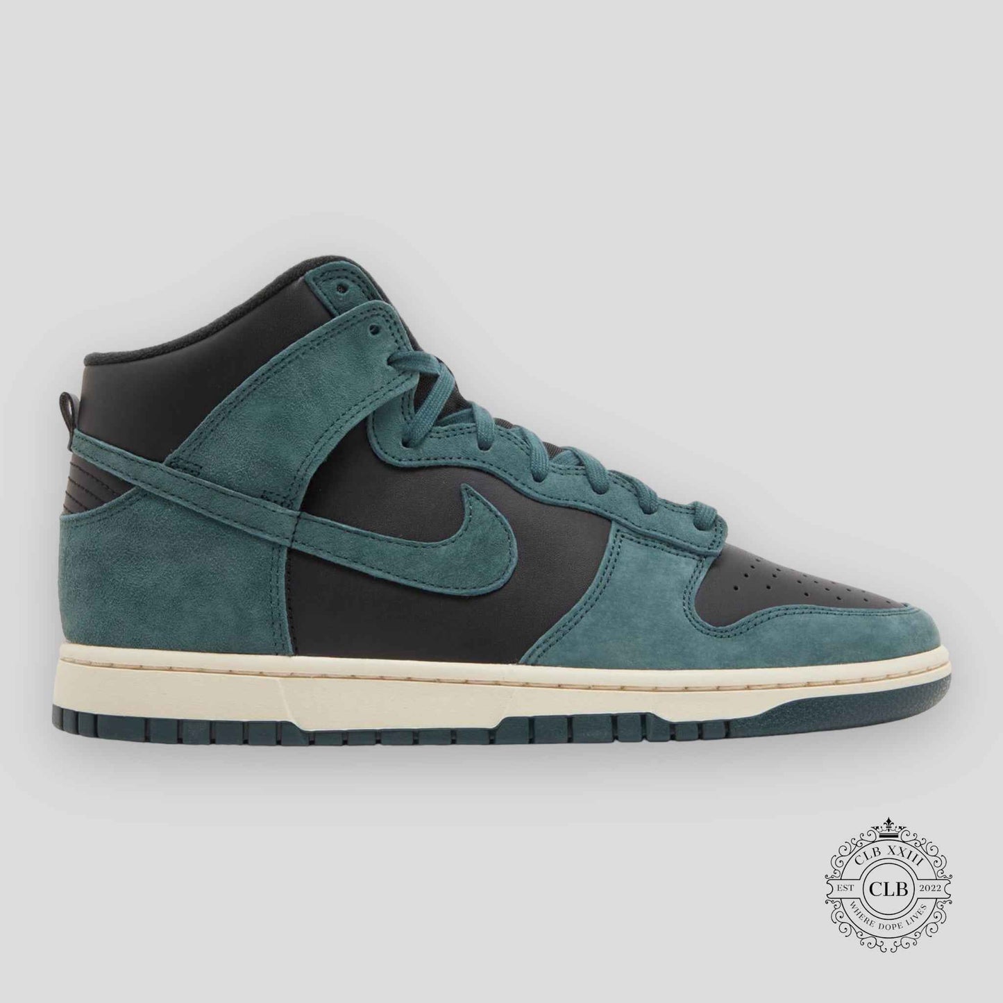 NIKE DUNK HIGH "FADED SPRUCE"