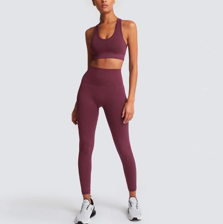 Women's Seamless Yoga Suit Sportswear Fitness Sport For Women Gym Running Set 2 Piece Costume For Yoga Sports Bras+Leggings Sets - JUSTLUXURY