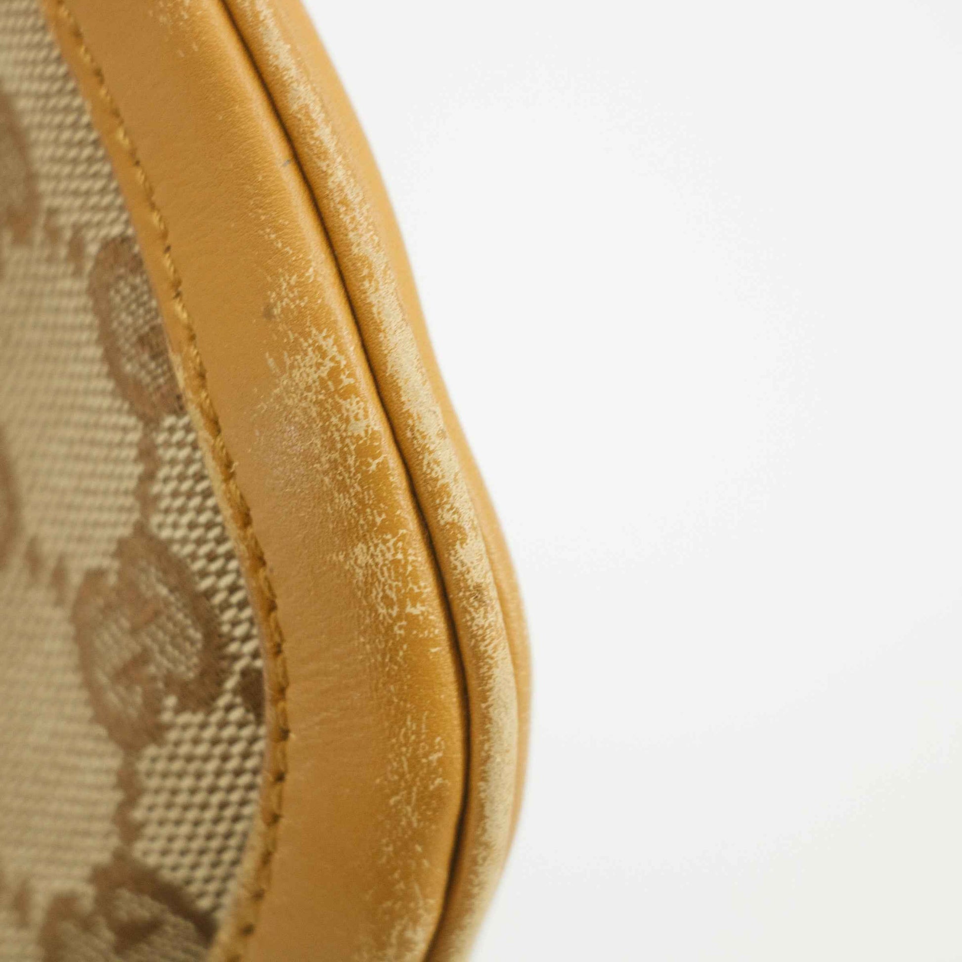 Gucci GG Canvas Beige One Shoulder Bag #3551