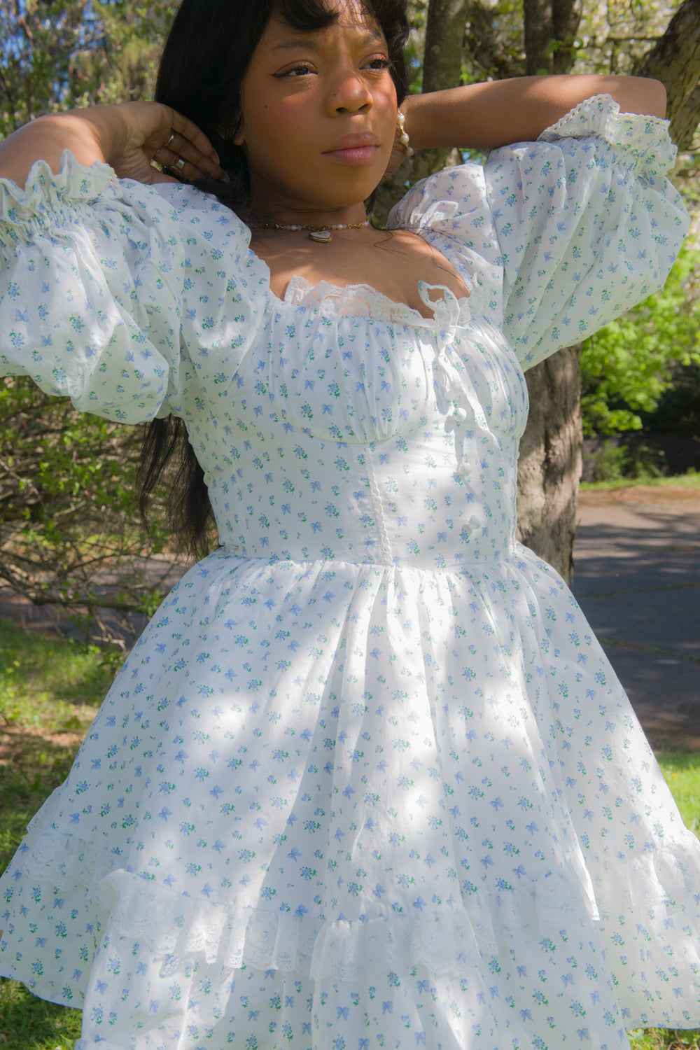 Blue Rose Carriage Dress
