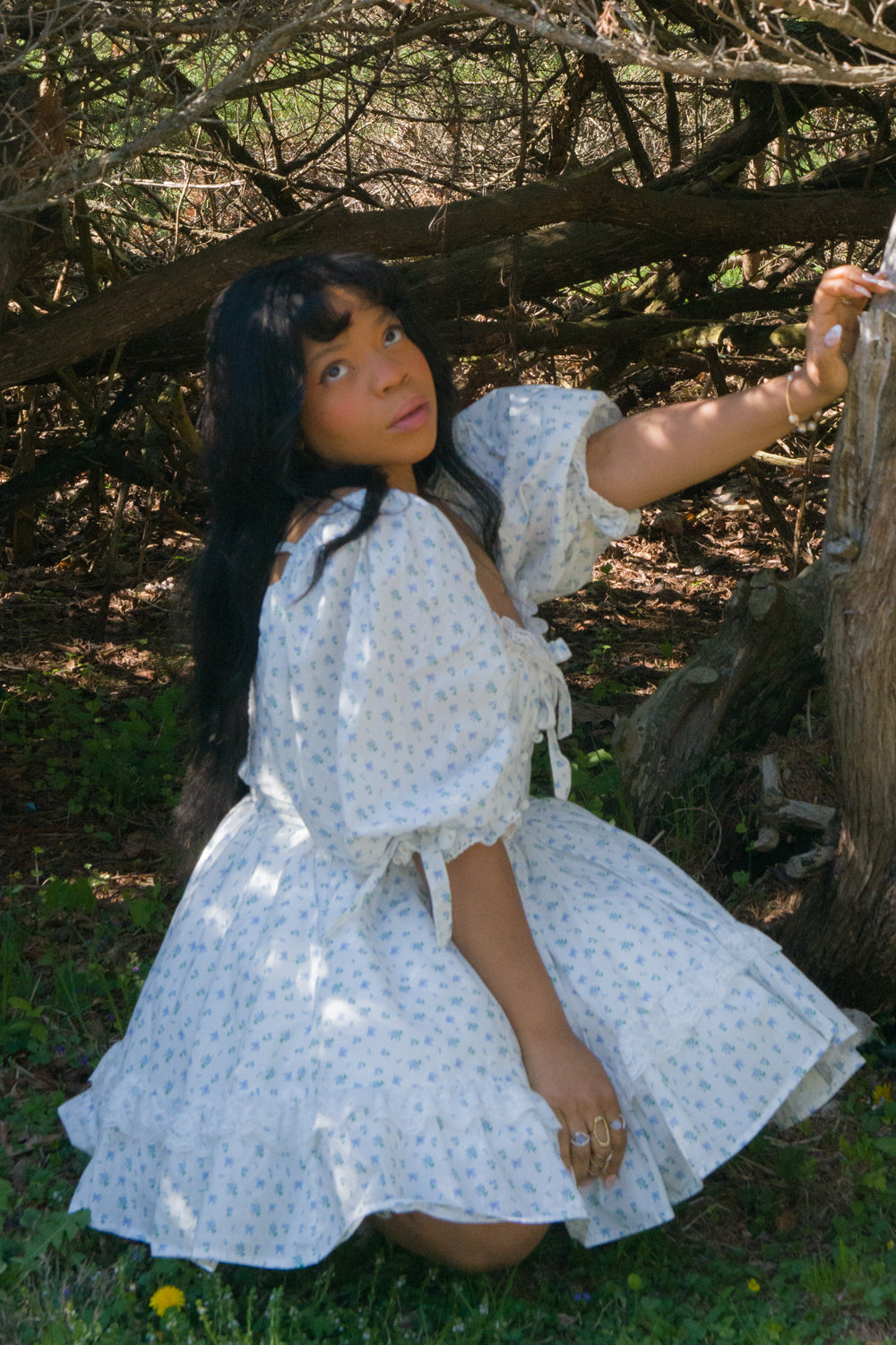 Blue Rose Carriage Dress