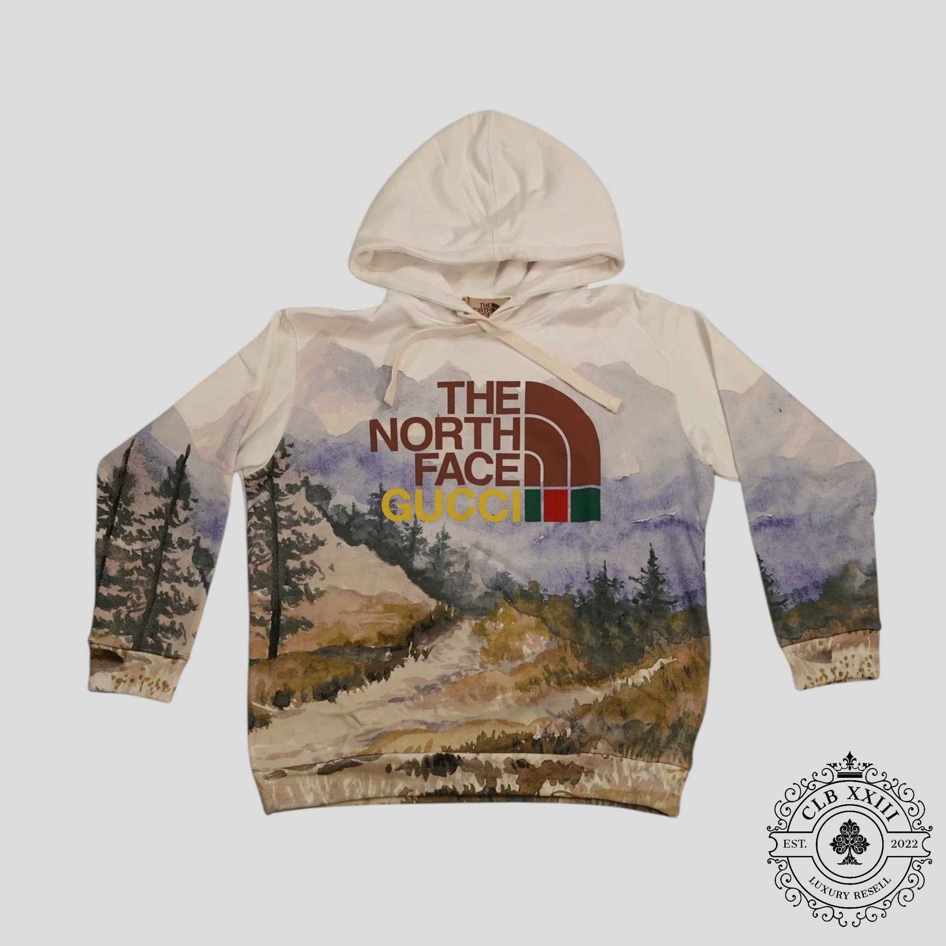 Gucci X The North Face Trail Print Hoodie in Multicolor