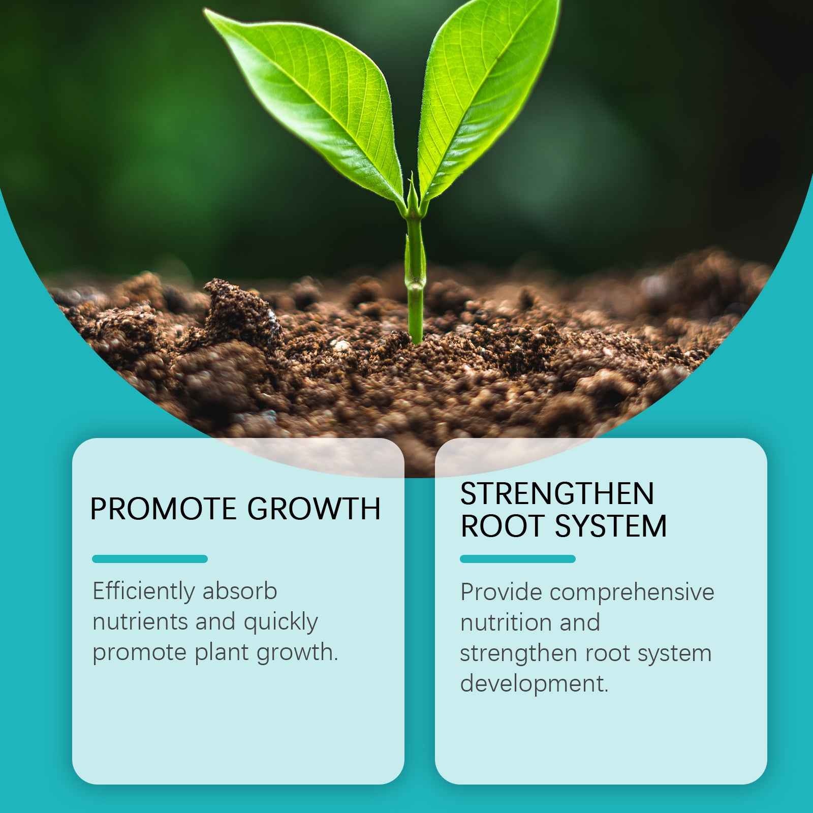 MoonSpry Hydroponic Liquid Fertilizer Lawn Green Leaf Growth Nutrient Solution Plant Concentrate Fertilizer Supplement