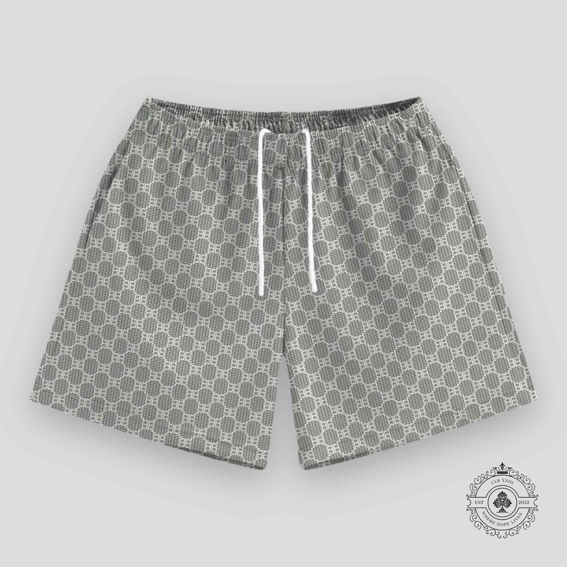 Bravest Studios Matrix Shorts in Slate Grey