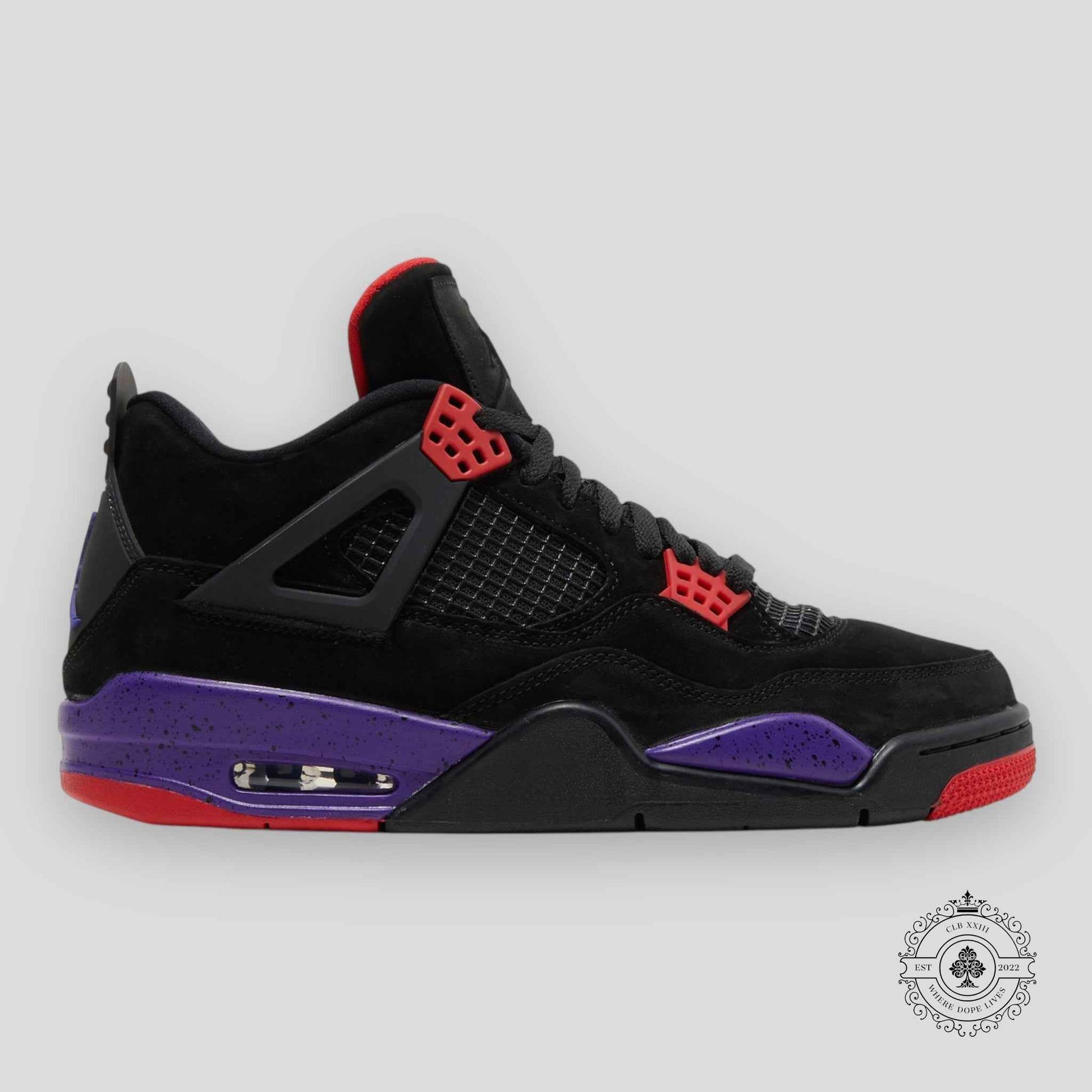 Air Jordan 4 Retro Raptors (2018)