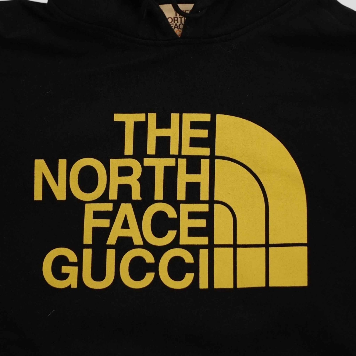 Gucci X The North Face Web Print Hoodie in Black