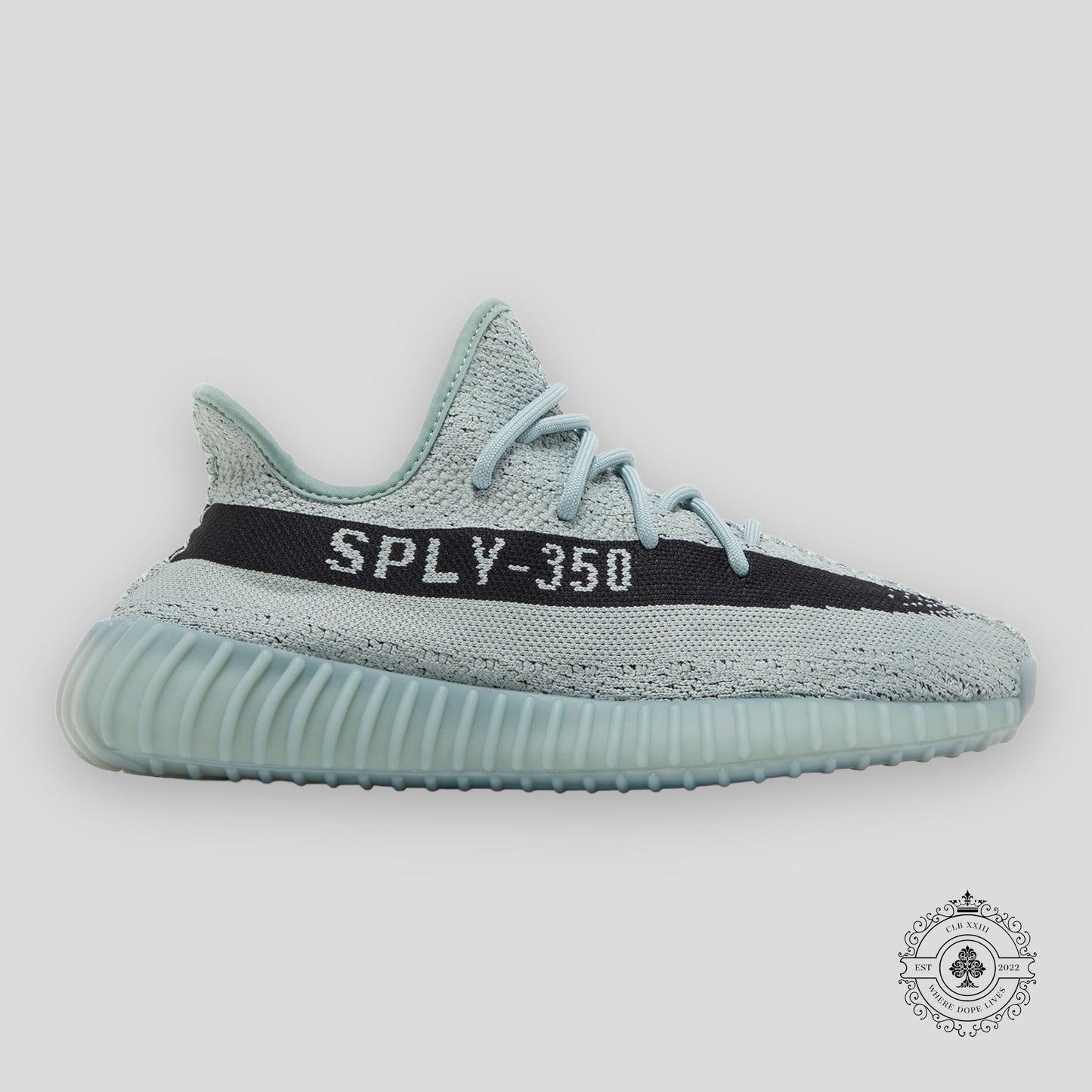 Adidas Yeezy Boost 350 V2 Salt