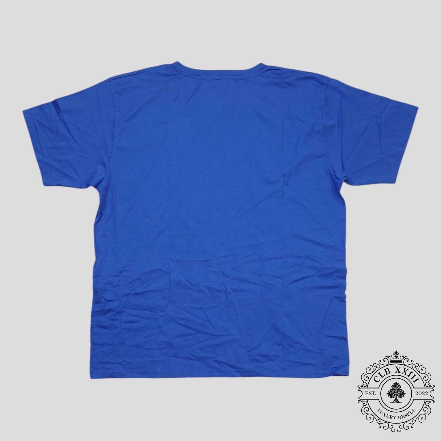 Celine Homme Logo Tee in Blue