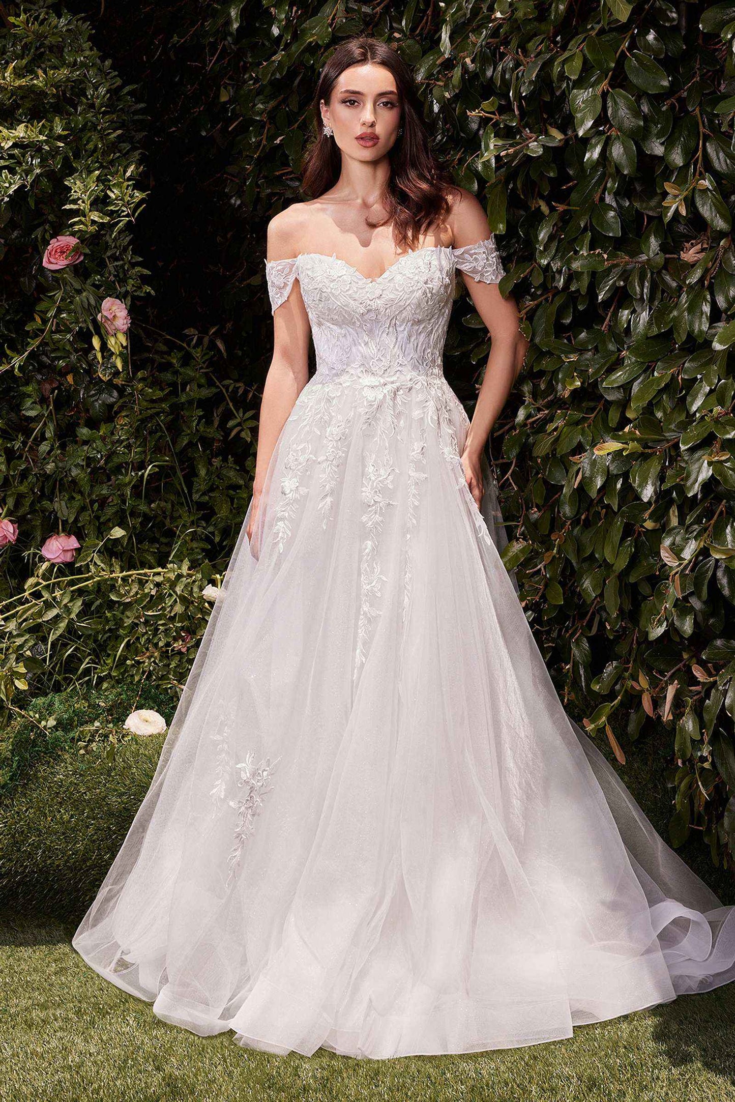 Ladivine C159W Off The Shoulder A-Line Lace & Tulle Wedding Dress