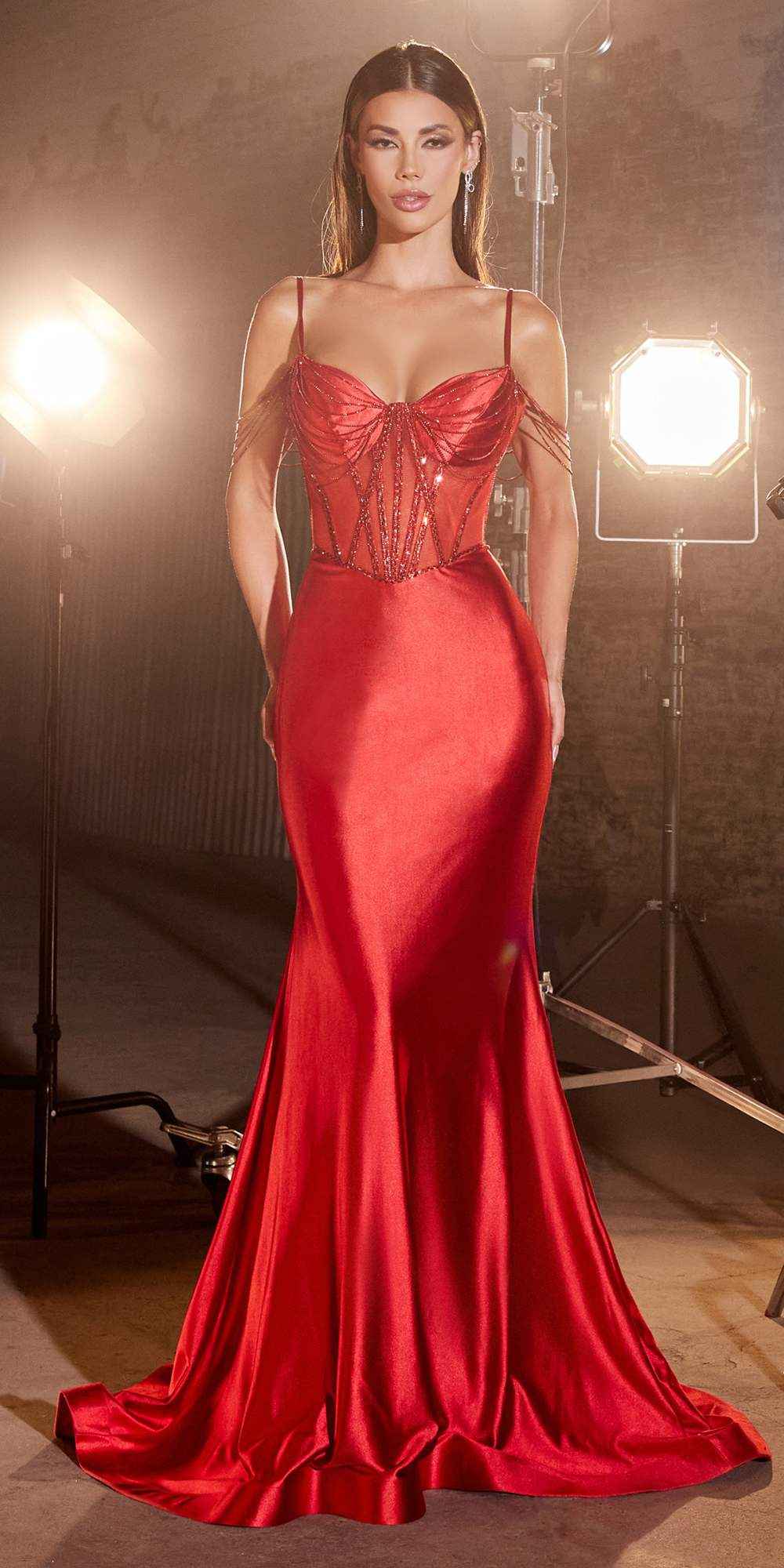 Ladivine CD820 Long Sexy Sheer Boned Bodice Draped Sides Evening Gown