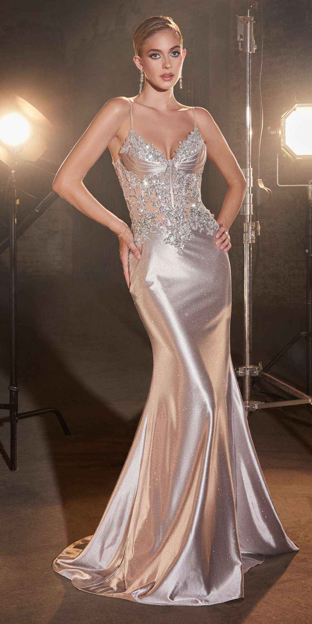 Ladivine CDS450 Long Fitted Lace Applique Bodice Sheer Bodice Gown