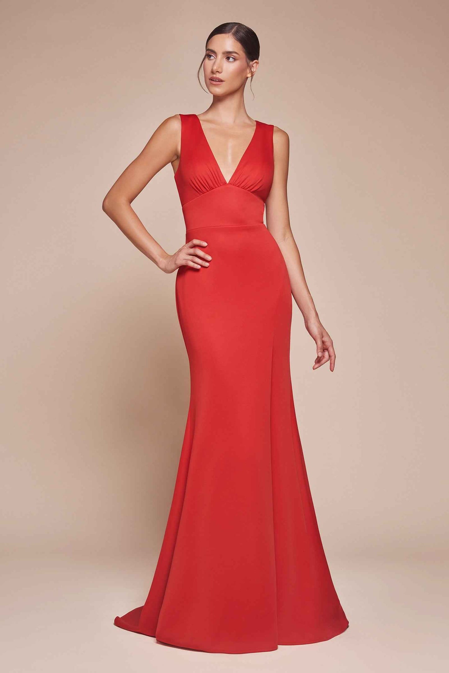 Ladivine CH395 Long Sleeveless V-Neckline Chiffon Dress