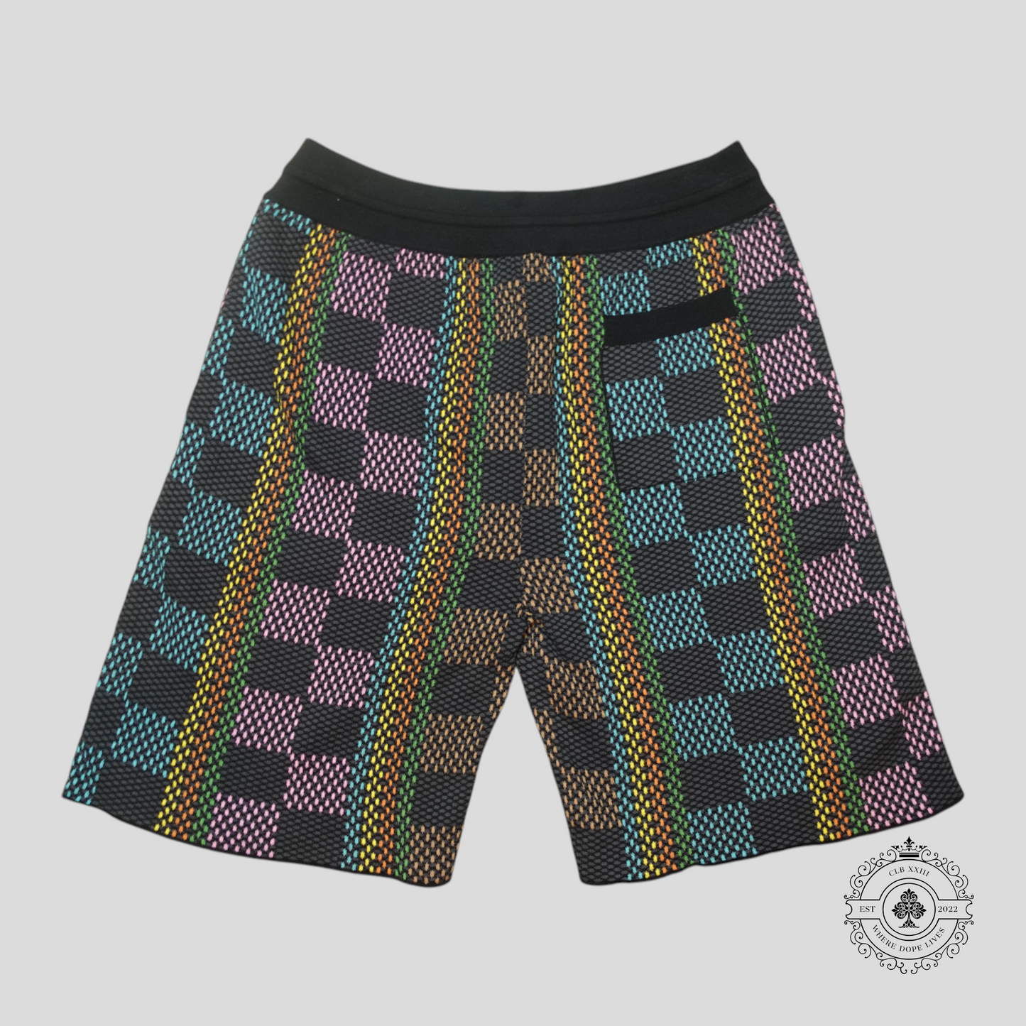 Louis Vuitton Damier Jacquard Shorts in Black/Multicolor