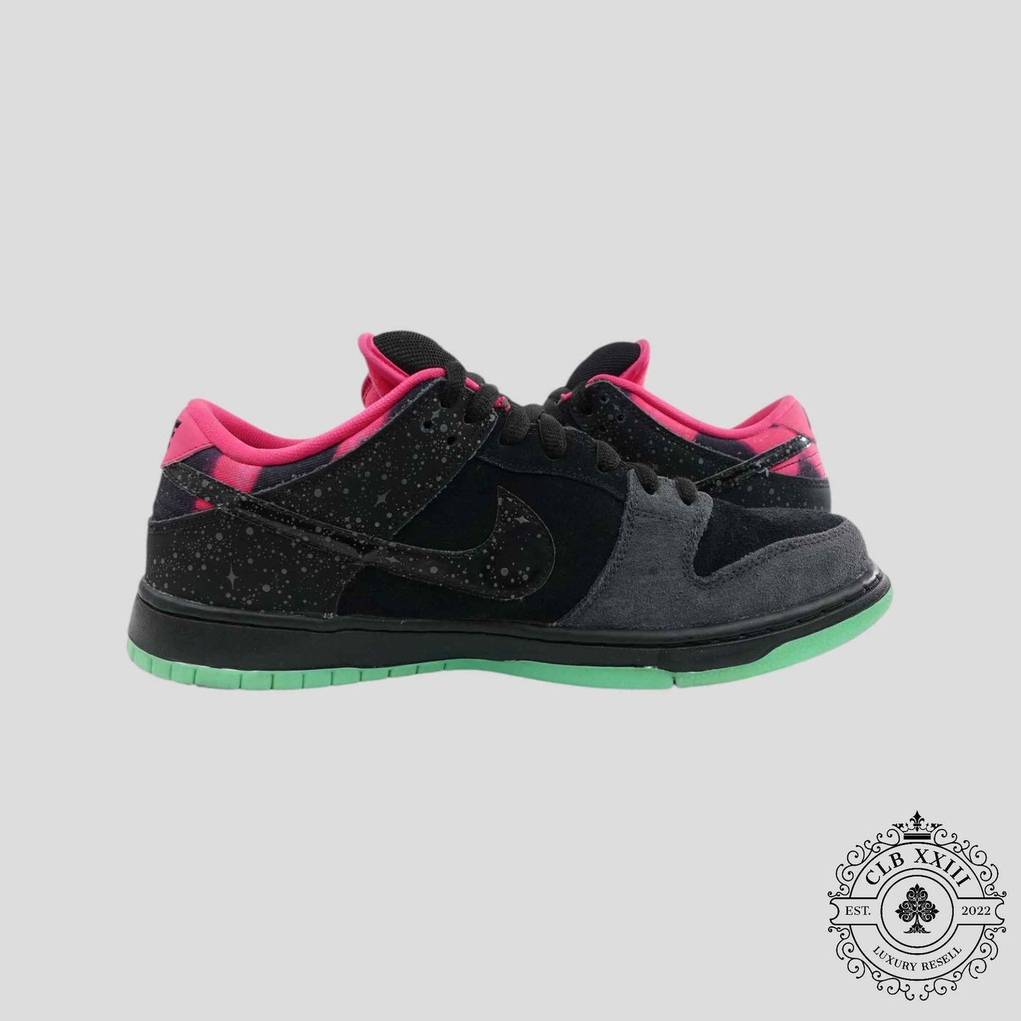 Nike SB Dunk Low Premier Northern Lights