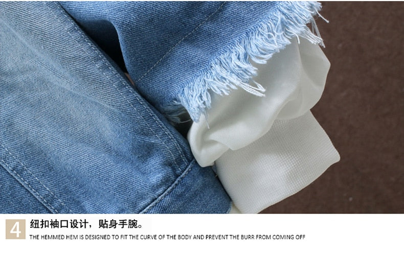 Devil Lion Cloud Denim Ripped Hooded Jacket