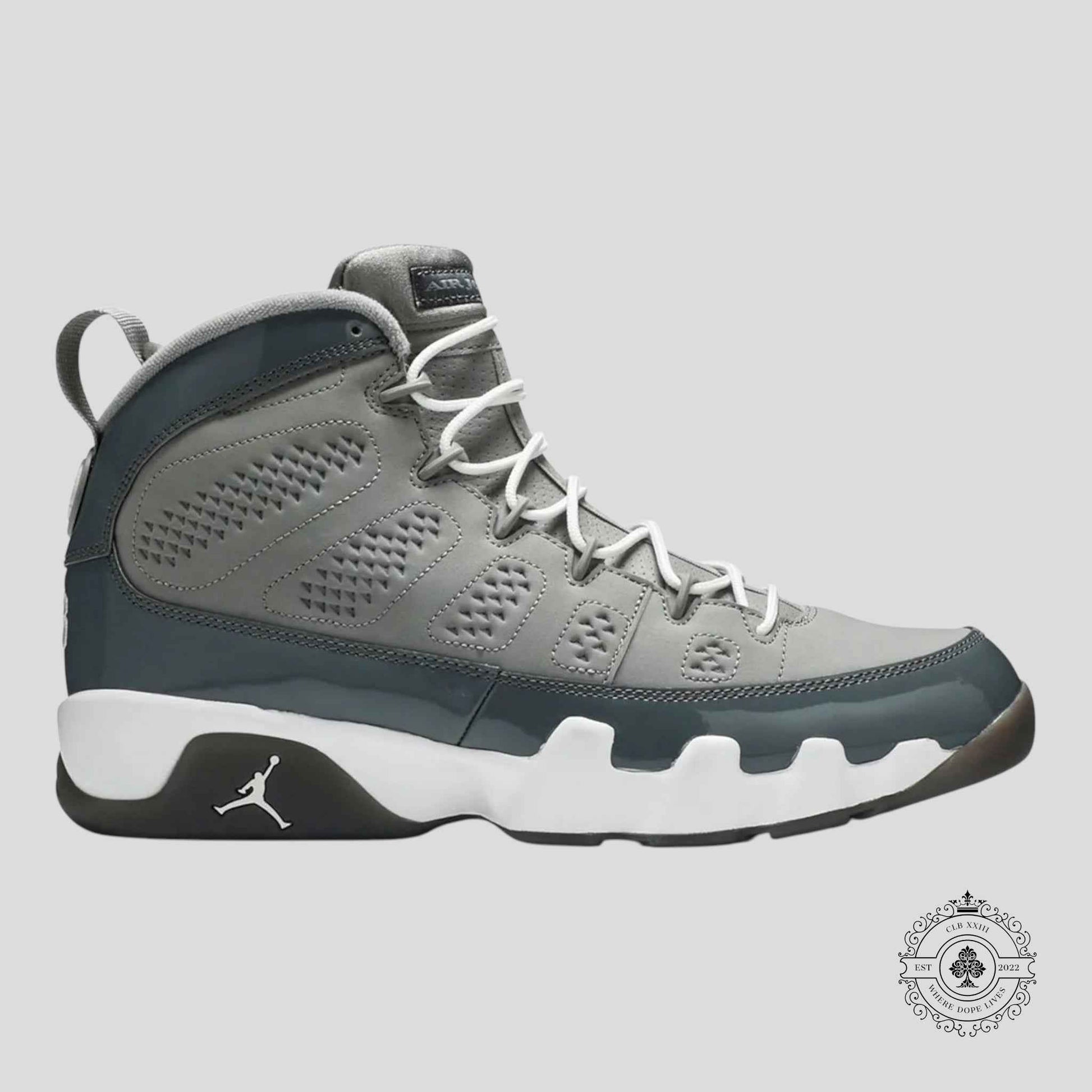 Air Jordan 9 Retro Cool Grey 2025
