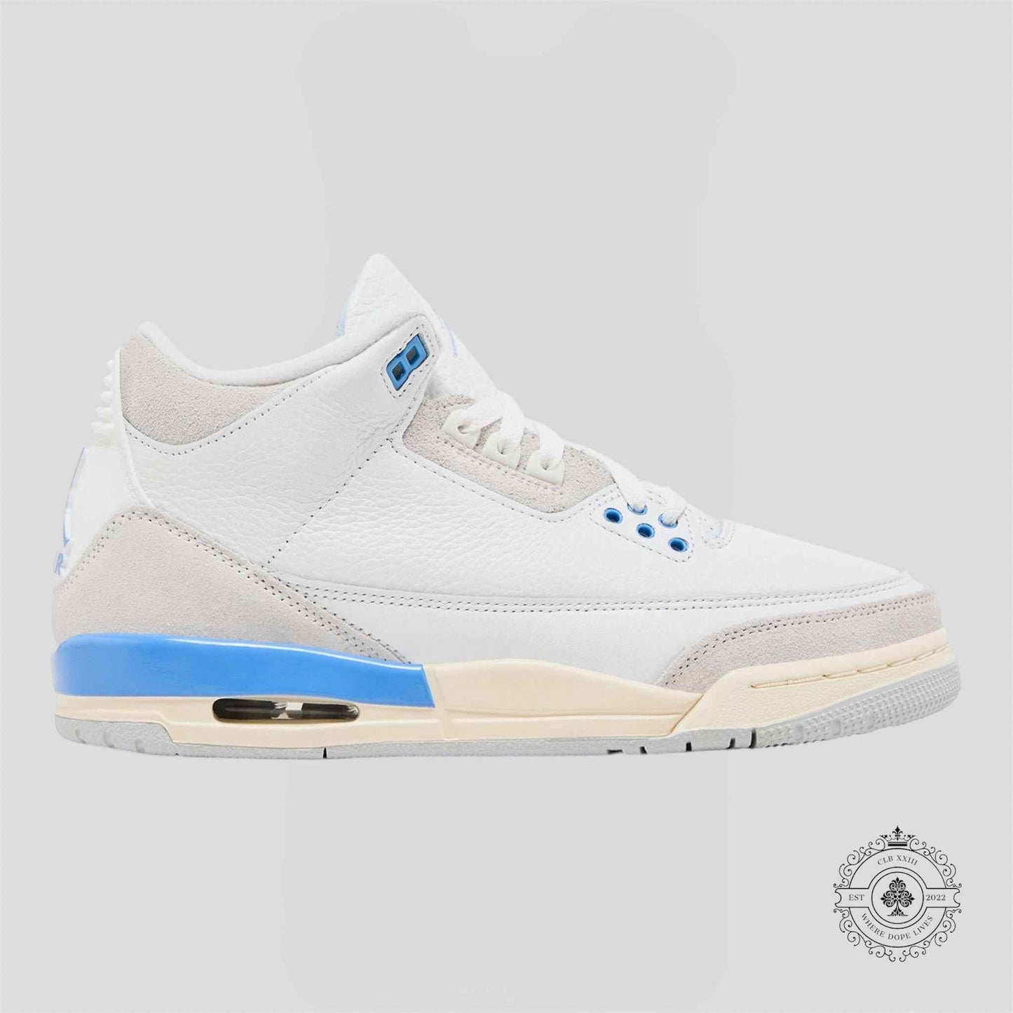 Air Jordan 3 Retro Lucky Shorts (GS)