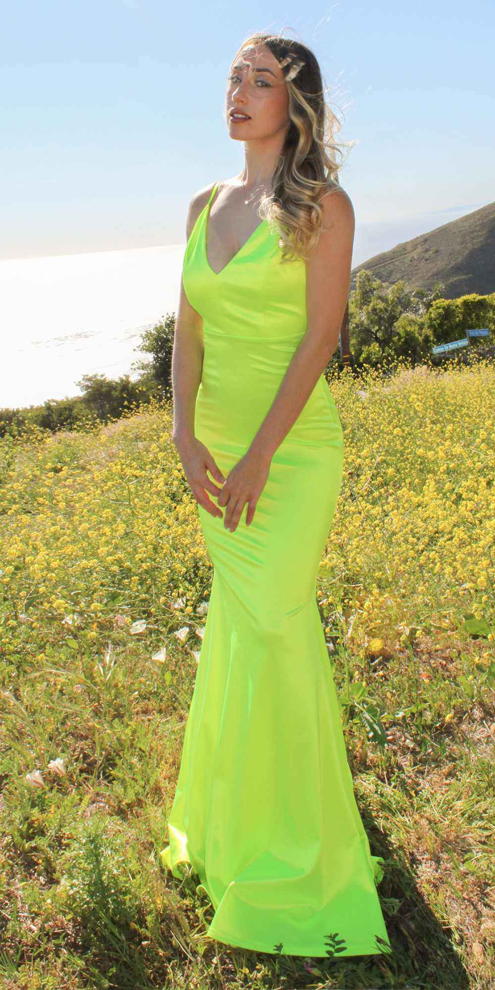 Astee SE016 Long Fitted Semi Formal Gown by Cinderella Divine