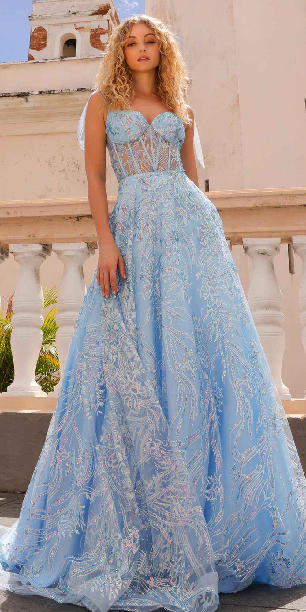 Nox Anabel T1336 Long A-Line Glitter Sequin Applique Corset Ball Gown