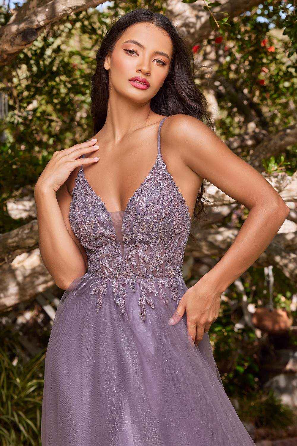 Cinderella Divine CD0154 Long Dress Beaded Applique Bodice Layered Tulle Skirt