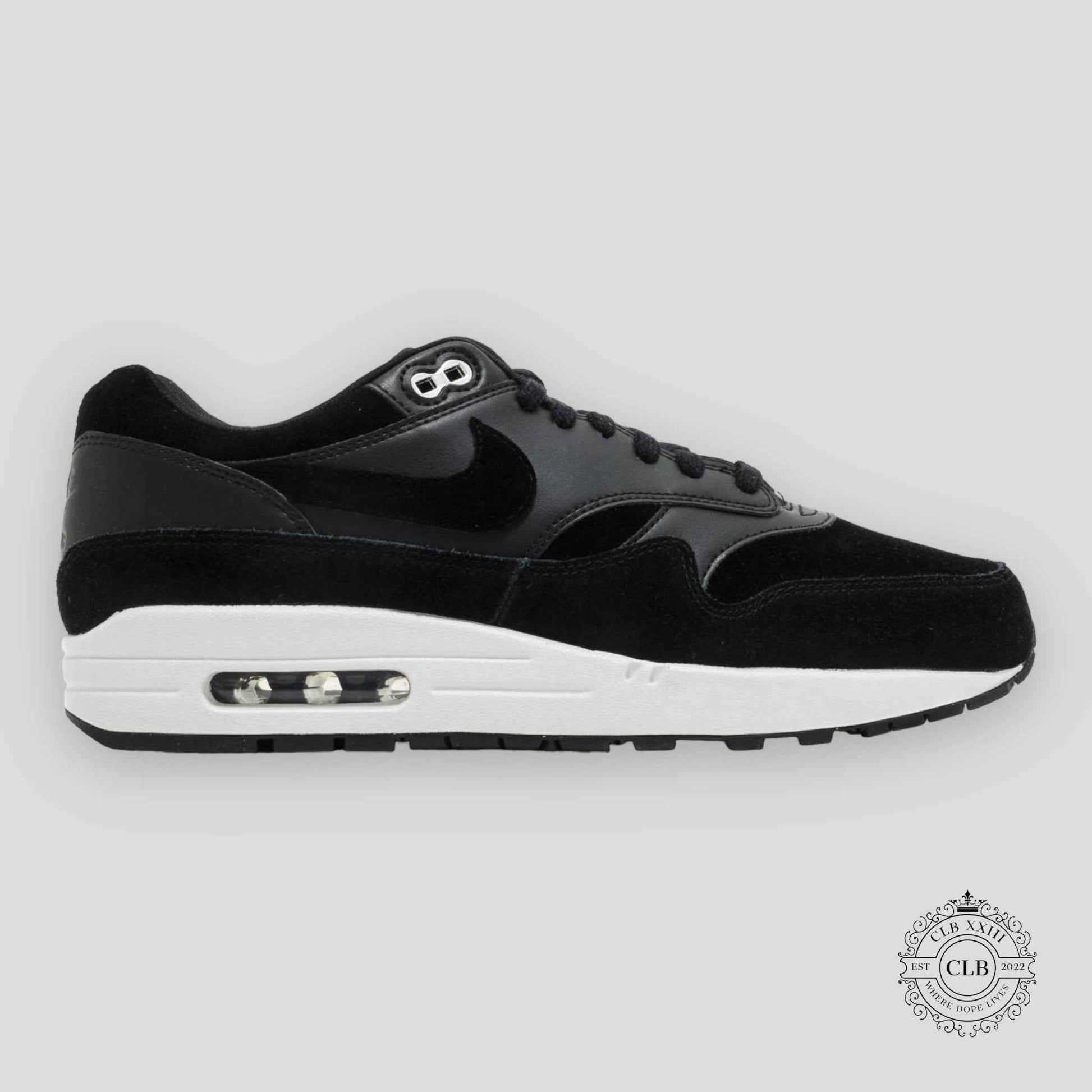 NIKE AIR MAX 1 "REBEL SKULLS"