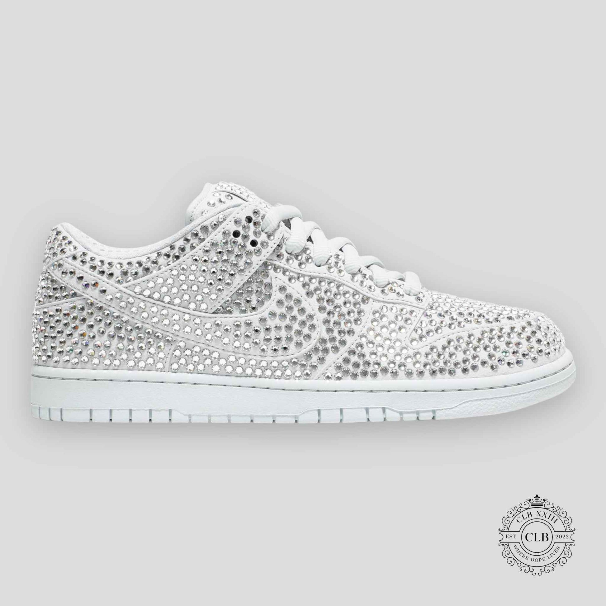 NIKE DUNK LOW X CPFM "PURE PLATINUM"