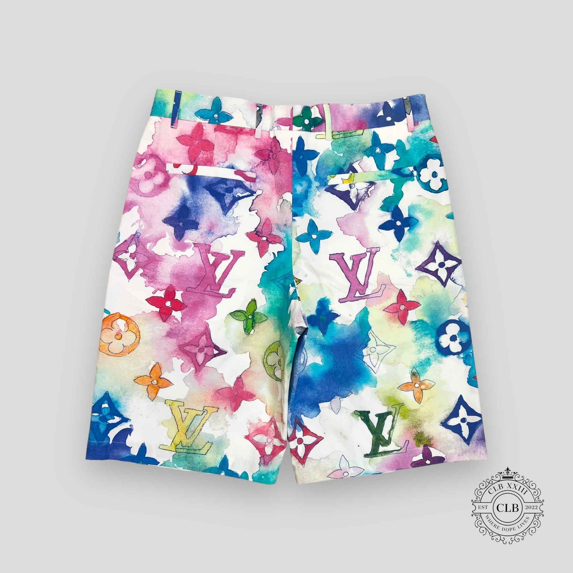 LOUIS VUITTON WATERCOLOR SKATER SHORTS
