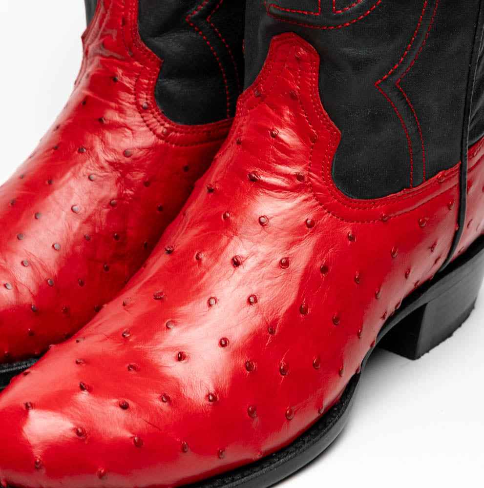 Savannah Red